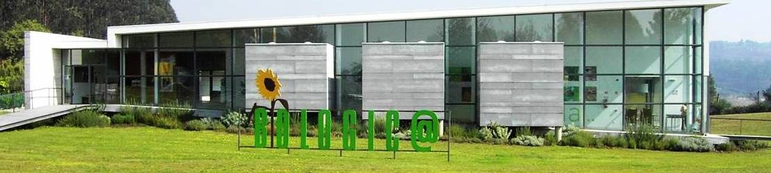 Centro de Interpretação do Carvalho de Calvos