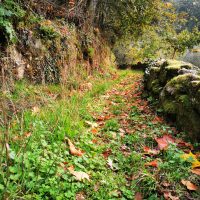 Galeria de Fotos - PR2 – Monte do Merouço