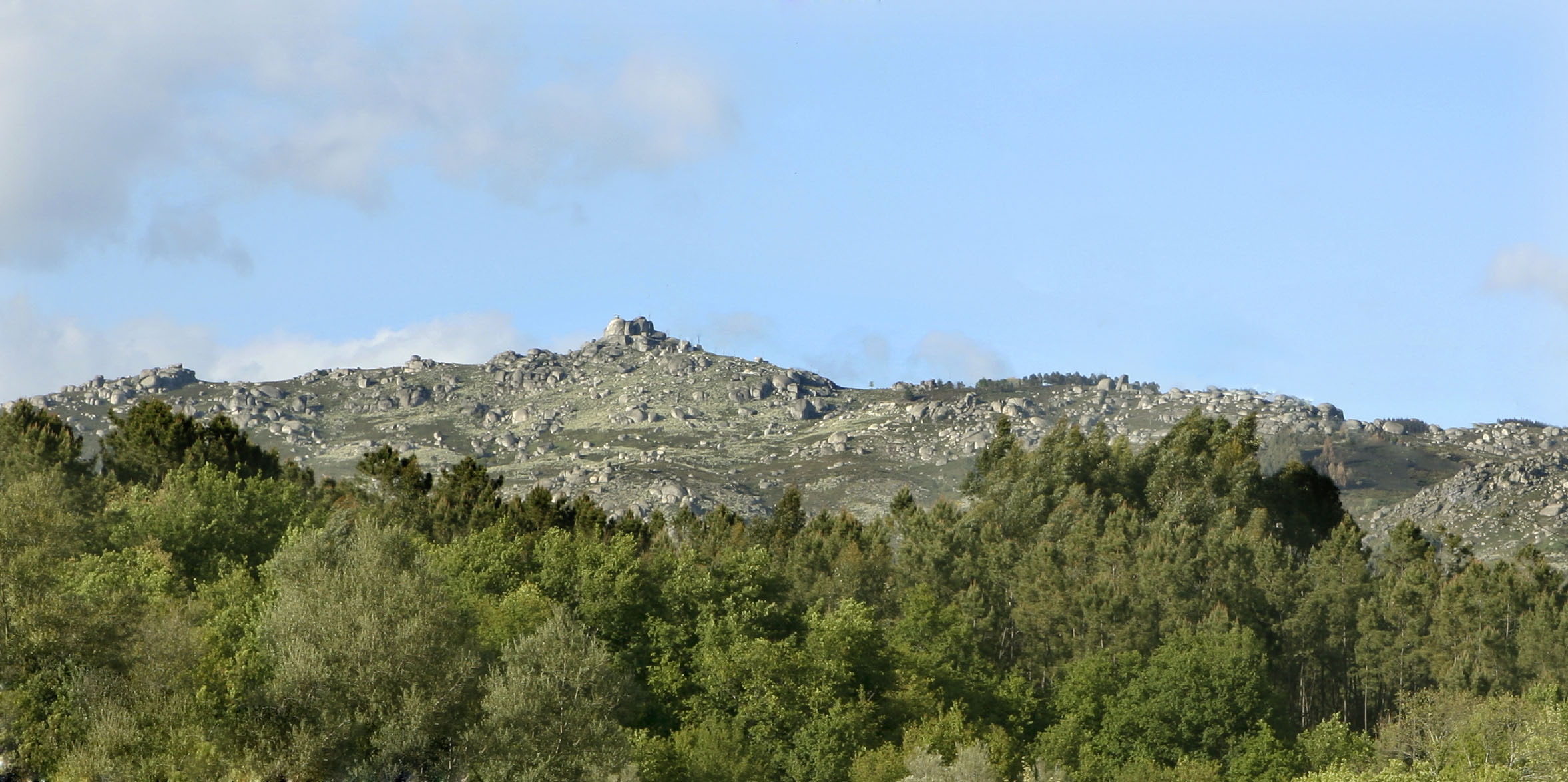 Monte de São Mamede