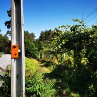 Galeria de Fotos - Caminho alternativo para São Bento da Porta Aberta